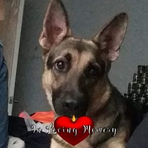 Meet your Posher, Sherry